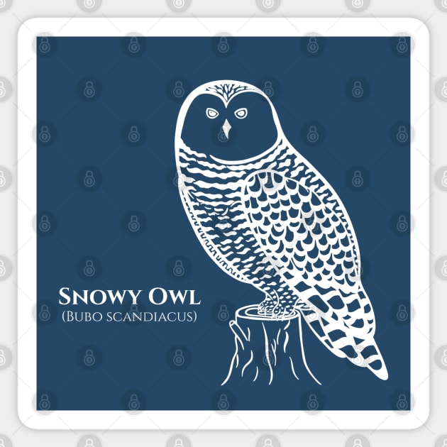 Snowy Owl with common and Latin Names - owl design for bird lovers Sticker by Green Paladin